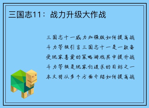 三国志11：战力升级大作战